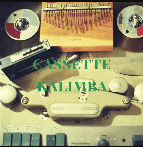 PastToFutureReverbs Cassette Kalimba