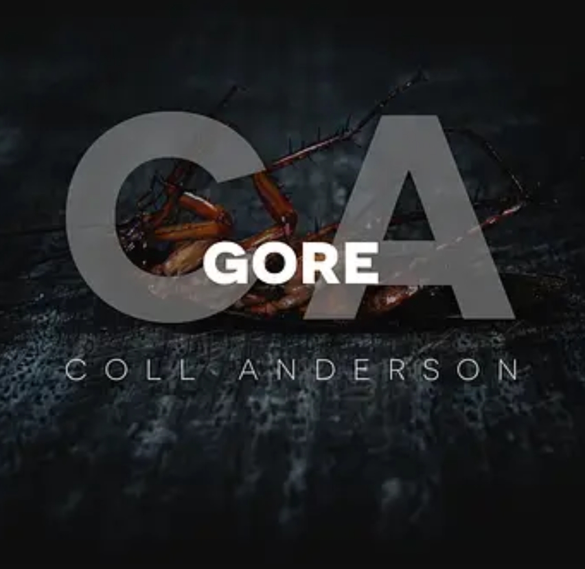 C.A. Sound Inc Gore