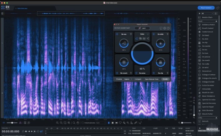 Native Instruments iZotope RX11 Advanced Audio Editor v11.2.0