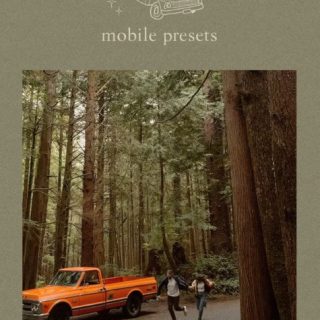 Gpresets – Twilight Mobile Pack