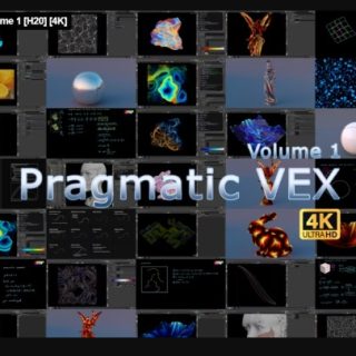 SideFX – Pragmatic VEX Volume 1