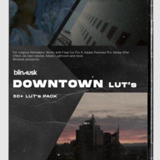 Blindusk – Downtown Luts