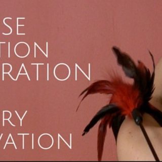 Pleasure Mechanics – Kinky Sex Mastery