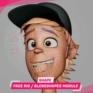 ArmenPamok – SHAPE – Face rig / blendshapes module