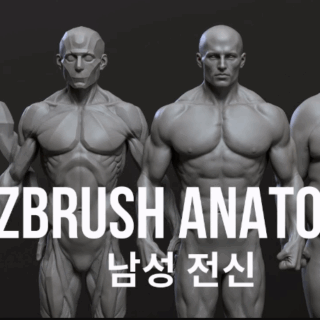 CGBump – Zbrush Senior Anatomy (Male)