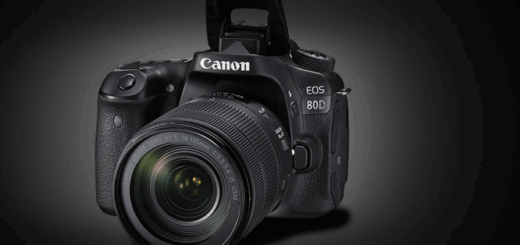 KelbyOne – Canon 80D Camera Basics