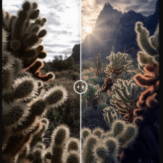 Max Rive Photography – Photoshop Sunstar Creation Tutorial