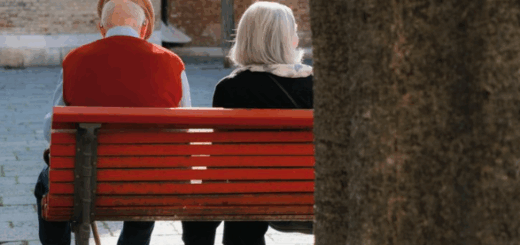 Snapsbyfox – Lightroom Presets