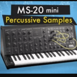 The Sound of Machines MS-20 Mini: Percussive Synth Samples AiFF