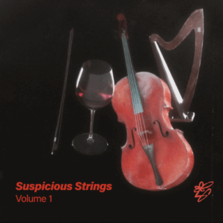 Loop Garden Suspicious Strings Vol.1 KONTAKT