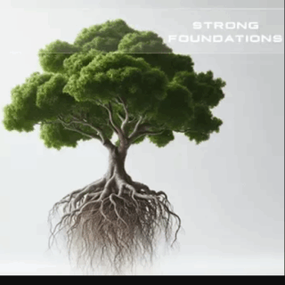 Soundsdivine Strong Foundations STUDIO ELECTRONICS SE-3X PRESETS