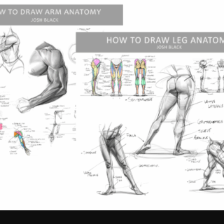 Gumroad – Josh H Black – Legs and Arms Anatomy Bundle