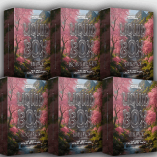 Noise Masters Liquid Box Drum & Bass Pack