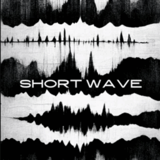 Triumph Audio Short Wave KONTAKT